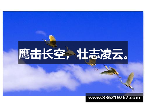 鹰击长空，壮志凌云。